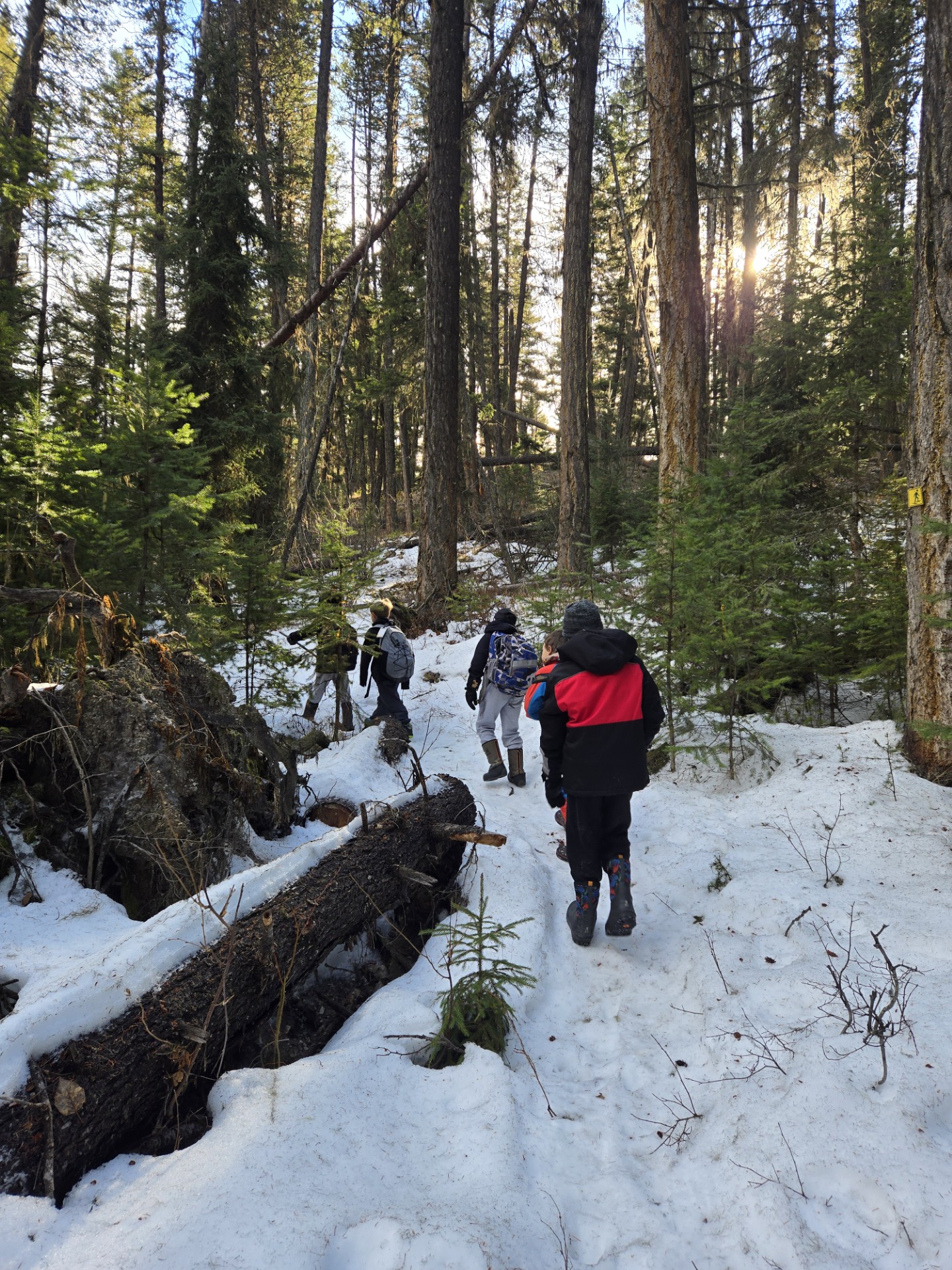 Bull Mountain Hike2 Craig Munroe