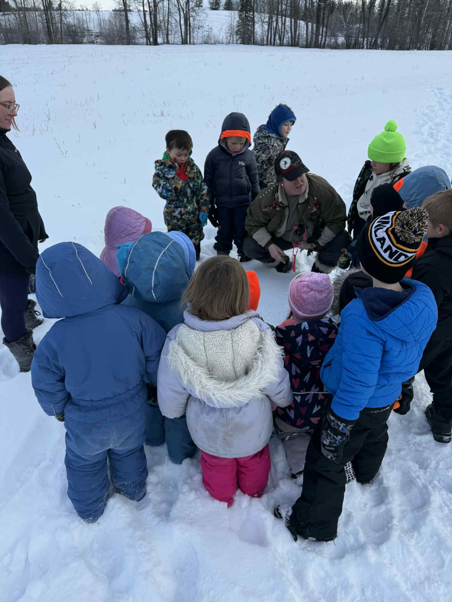 Animal Identification1 Craig Munroe