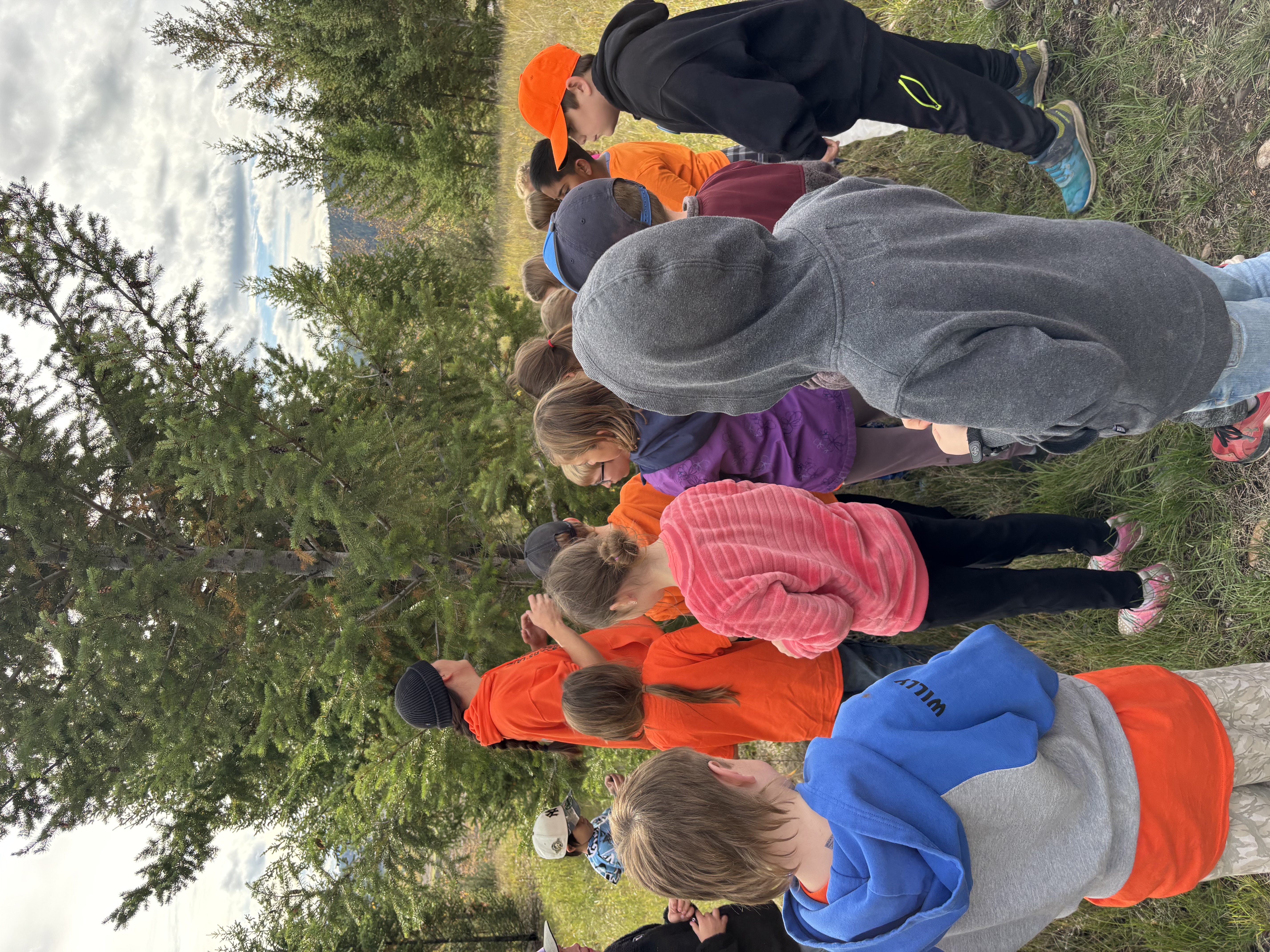 Indigenous Nature Walk Craig Munroe